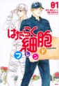 Manga - Manhwa - Hataraku Saibô Friend jp Vol.1