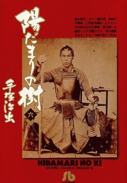 Manga - Manhwa - Hidamari no Ki - Bunko Shôgakukan jp Vol.6