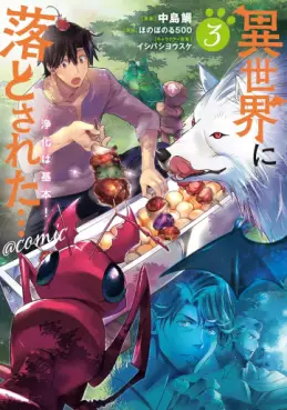 Manga - Manhwa - Isekai ni Otosareta... Jôka wa Kihon! @Comic jp Vol.3
