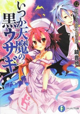 Manga - Manhwa - Itsuka Tenma no Kuro Usagi - light novel jp Vol.12