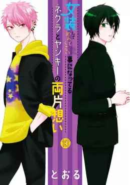 Manga - Manhwa - Josô Shite Mendokusai Koto ni Natteru Nekura to Yankee no Ryô Kataomoi jp Vol.13