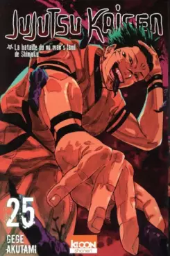 Jujutsu Kaisen Vol.25