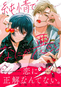 Junjô de Nani ga Warui jp Vol.0