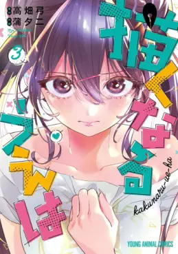Manga - Manhwa - Kakunaru Ue wa jp Vol.3