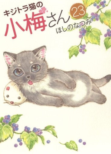 Manga - Manhwa - Kijitora Neko no Kôme-san jp Vol.23
