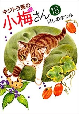 Manga - Manhwa - Kijitora Neko no Kôme-san jp Vol.18