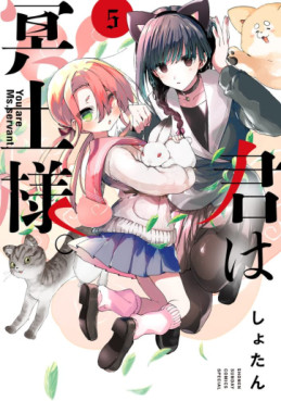 Manga - Manhwa - Kimi wa Meido-sama jp Vol.5