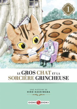 Mangas - Gros Chat et la Sorcière grincheuse (le) Vol.1