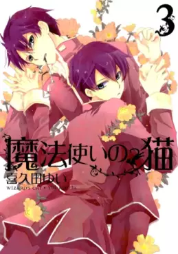 Manga - Manhwa - Mahô Tsukai no Neko jp Vol.3
