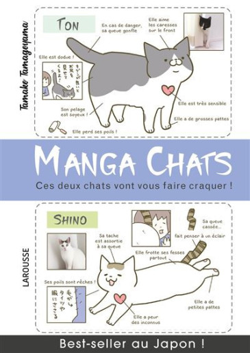 Manga - Manhwa - Manga chats