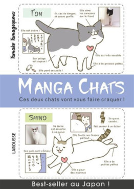 Manga - Manhwa - Manga chats