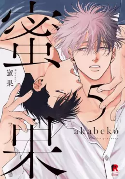 Manga - Manhwa - Mitsuka jp Vol.5