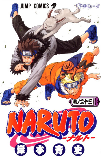Manga - Manhwa - Naruto jp Vol.23