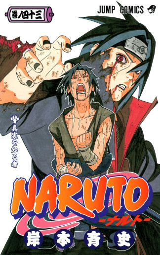 Manga - Manhwa - Naruto jp Vol.43