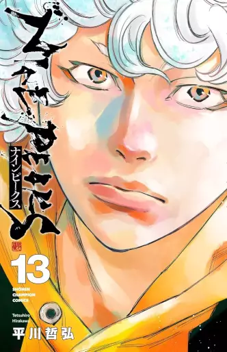 Manga - Manhwa - NINE PEAKS jp Vol.13