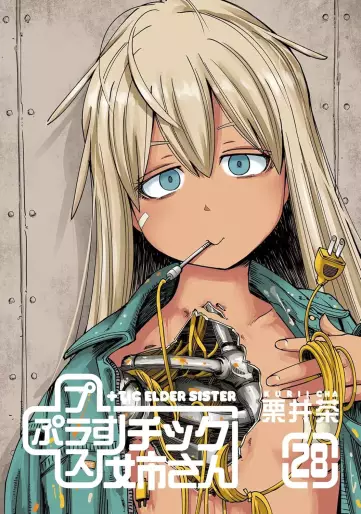 Manga - Manhwa - Plus Tic Neesan jp Vol.28