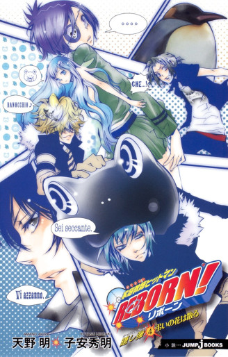 Manga - Manhwa - Katekyô Hitman Reborn! - Light-novel jp Vol.4