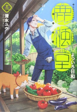 Manga - Manhwa - Rokuhôdô Yotsuiro Biyori jp Vol.13