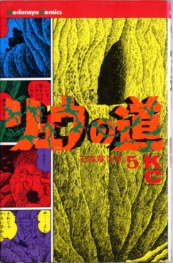 Manga - Manhwa - Ryû no Michi jp Vol.5
