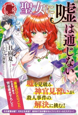 Seijo ni Uso wa Tsûjinai - Light novel jp Vol.0