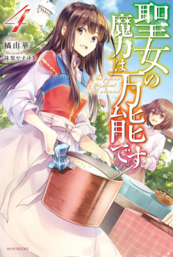 manga - Seijo no Maryoku wa Bannô desu - Light novel jp Vol.4
