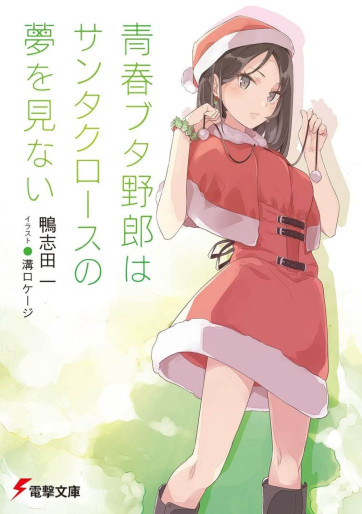 Manga - Manhwa - Seishun Buta Yarô - Light novel jp Vol.13