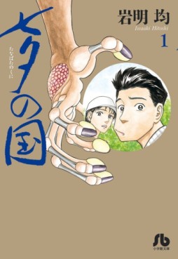 Manga - Manhwa - Tanabata no Kuni - Bunko jp Vol.1
