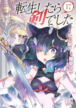 Manga - Manhwa - Tensei Shitara Ken Deshita jp Vol.17