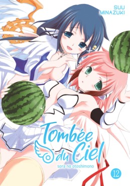 manga - Tombée du Ciel Vol.12