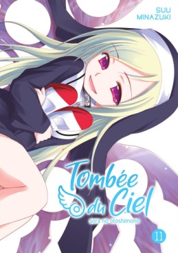Manga - Tombée du Ciel Vol.11
