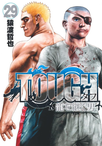 Manga - Manhwa - Tough Gaiden – Ryû wo Tsugu Otoko jp Vol.29