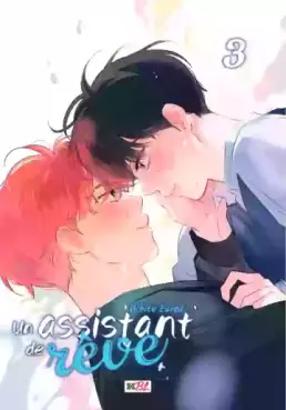 Assistant de rêve (Un) Vol.3