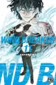 Wind Breaker Vol.11