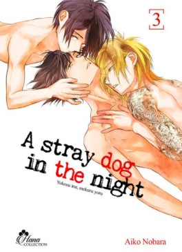 Manga - A stray dog in the night Vol.3