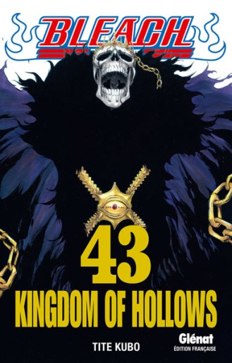 Manga - Manhwa - Bleach Vol.43