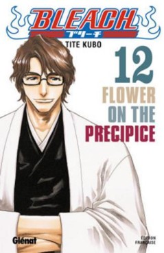 Bleach Vol.12