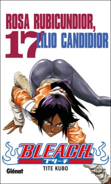 Manga - Bleach Vol.17
