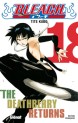 Bleach Vol.18