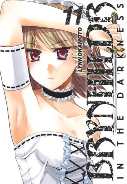 Brynhildr in the darkness Vol.11