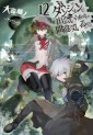 Manga - Manhwa - Dungeon ni Deai wo Motomeru no wa Machigatte Iru Darô ka - Light novel jp Vol.12