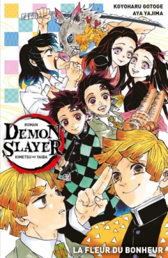 manga - Demon Slayer - Roman Vol.1