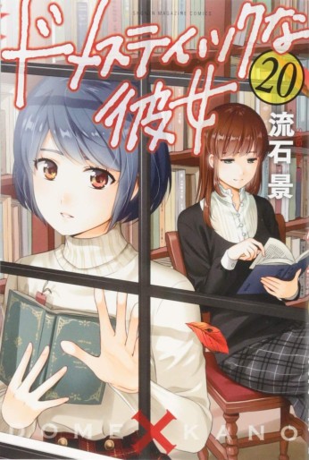 Manga - Manhwa - Domestic na Kanojo jp Vol.20