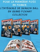 Image supplémentaire DRAGON BALL © 1984 by Bird Studio / Shueisha Inc.