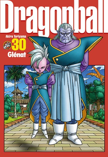 Manga - Manhwa - Dragon Ball - Perfect Edition Vol.30