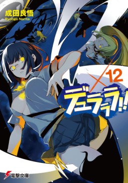manga - Durarara !! - light novel jp Vol.12