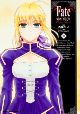 Fate/Stay Night jp Vol.20