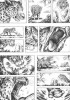 Planche supplémentaire GON © Masashi TANAKA / Kodansha Ltd.