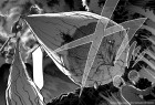 Image supplémentaire © by YOKOSHIMA Hitotsu / Kadokawa Shoten