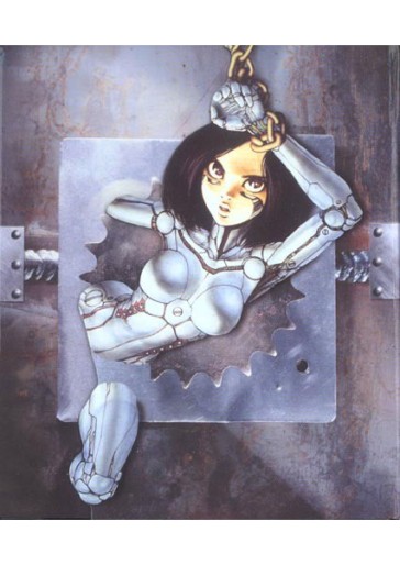 Manga - Manhwa - Gunnm - Coffret Intégrale (1999)