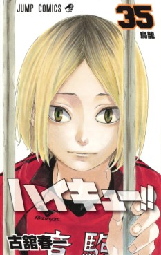 Manga - Manhwa - Haikyû!! jp Vol.35